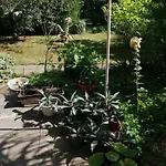 2 * 萨斯尼茨